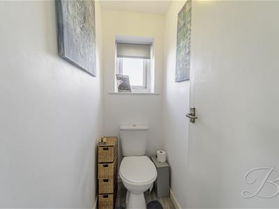 Picture 13
